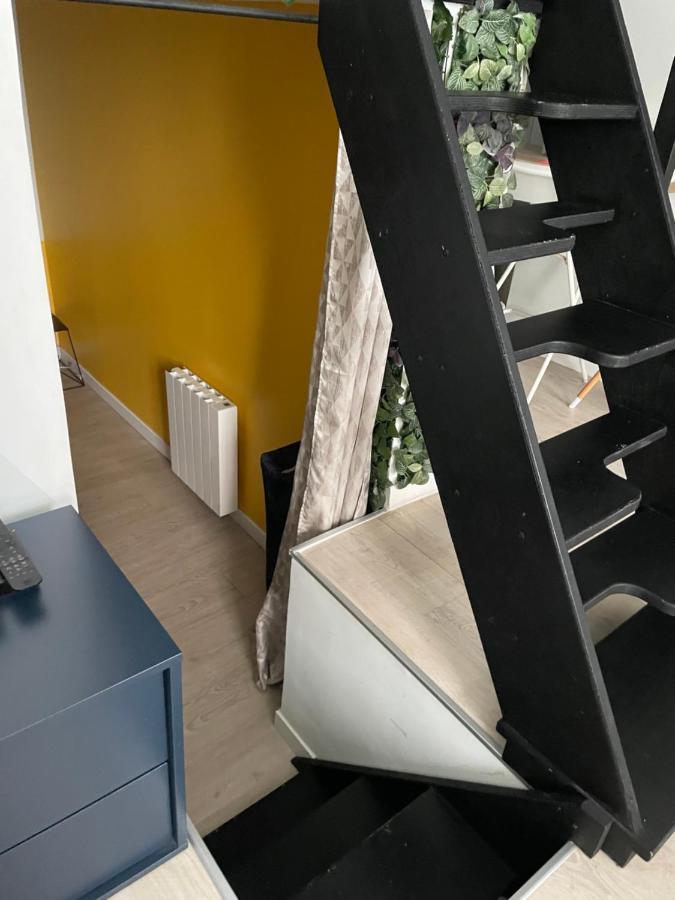 Le Berlier 60M2 + Cour Privee - Centre Historique Appartement Dijon Buitenkant foto